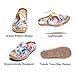 UIN Women's Slipper Fashion Canvas Comfort Travel Art Painted Shoes Wide Toe Casual Household Slip On Mules Cheer Up (6.5)
