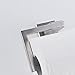 Topfox SUS 304 Stainless Steel Bathroom Toilet Paper Roll Holder Wall Mount Roll Holder (Silver)