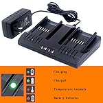 WA3875 20V Li-ion Dual Port 2 Hour Charger Replacement for Worx WA3578 WA3575 PowerShare 20V Lithium Ion Battery WA3520…