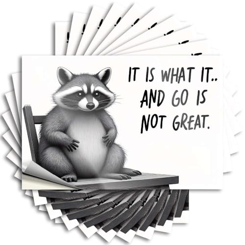 Adesivi divertenti per auto It is What It is. Go Isn't Great. Adesivi 10 pezzi adesivi per cassetta degli attrezzi (12 x 18 cm)