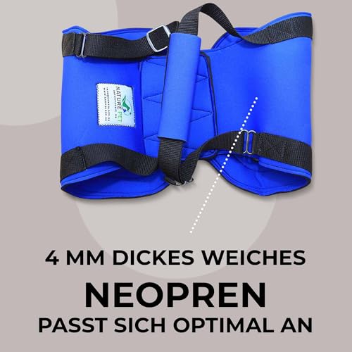 Nature Pet © - Tragehilfe Hund hinten - Verstellbarer Hunde Tragegurt als Treppenhilfe - Ideal für ältere, kranke oder operierte Vierbeiner - Praktische Unterstützung für Mobilität (L, Blau)