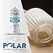 Polar All Surface Primer Matte Gray - 2 x 13.5 Fl Oz - Ideal for Wood, Metal, Plastic, Brick - Enhanced Adhesion & Quick Drying