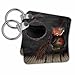 3dRose Key Chains Kitchen witch with cauldron and broom (kc-172257-2)