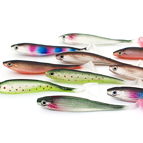 10 Pcs Paddle Tail Swimbaits Kit | 2 & 3 Inch Soft Plastic Bass Lures | 6 Colors For Freshwater & Saltwater Fishing