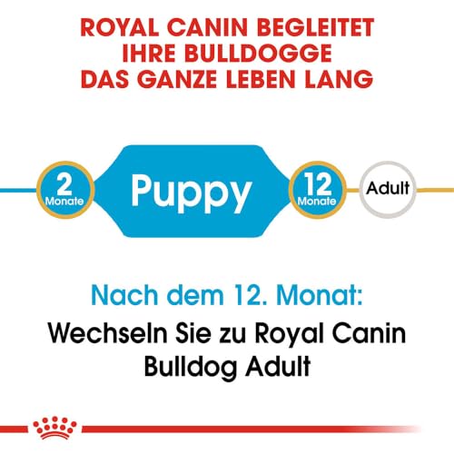 ROYAL CANIN Bulldog Puppy Trockennahrung für Hunde – 12 kg