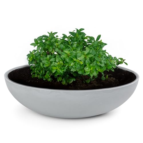 matches21 HOME & HOBBY Pot de fleurs pour extérieur en gris clair marbré, 30 x 9 cm, résistant aux intempéries