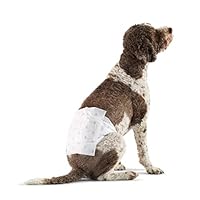 Algopix Similar Product 3 - Amazon Basics Male Dog Diapers 30