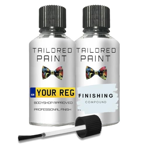 Mixed by Reg Registration Plate Car Touch Up Paint Kit All In 1 Formula Perfect Colour Match Car Paint Check With Finishing Compound