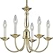 Progress Lighting P4009-10 5-Light Chandelier, Polished Brass
