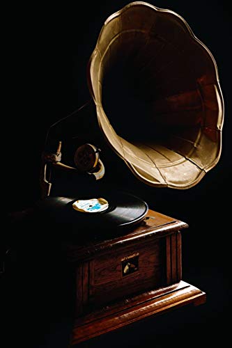Notes: Lined Notebook | 120 Pages (6 x 9 inches) | Ruled Writing Journal With A Vintage Gramophone Cover image 3