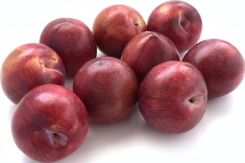 Felixia Ciruela roja - 1 kg