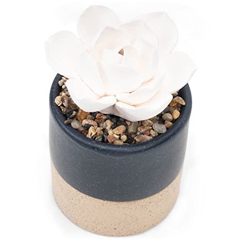 Demdaco Navy Blue And Speckled Golden Succulent 3 X 5 Stoneware Decorative Tabletop Oil Diffuser #TOP2