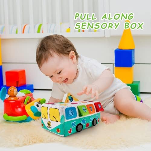 beetoy Baby Tissue Box Toy, Soft Stuffed High Contrast Baby Toys 6-12 Months Sensory Montessori Toys with Crinkle Tissue Papers Colorful Juggling Rainbow Dance Scarves for Toddler, Infants, Newborns