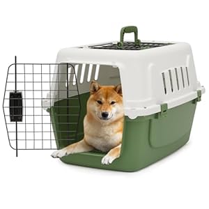 Athena Collection 22″ Hard-Sided Travel Pet Carrier for Small Dogs and Cats, Plastic Dog Crate with 2-Door Top & Front Load, Ventilation, Security Lock, Cat Dog Carrier for Pet, up to 22lbs, Green