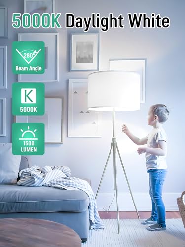 Image of 12 Pack LED Light Bulbs 100 Watt Equivalent, A19 5000K Daylight White | 15W Super Bright White Light 1500 LM, E26 Standard No Flicker Energy Saving Lamp Bulb for Home, Bedroom, Office, Non-Dimmable