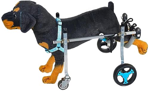 Aide à l'exercice réglable chien paralysie pattes arrière
