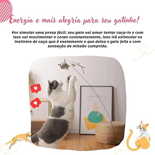 Brinquedo Interativo para Gato Varinha Com Ventosa Fixar Chão Vidro Porta com Bichinho e Guizo (Pass