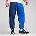 Puma Men's BMW M Motorsports Essentials+ Fleece Pants, Pro Blue-M Color, Large