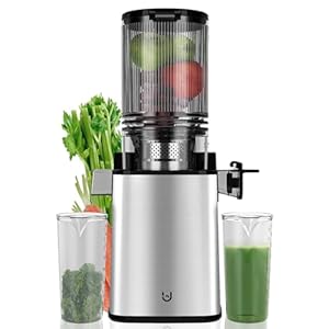 Masticating Juicer Machines, 350W Slow Cold Press Juicer with 5.3″ Feeding Chute, High Juice Yield Juicer for Fruits and Vegetables, Easy to Clean3