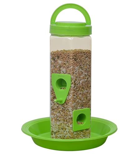 Image of Deskart Wooden Bird House | Hanging and WallPatch Wooden Bird Nest for Balcony, Window and Garden | Suitable for Sparrow and Kingfisher etc. Birds (Bird Feeder - Combo)