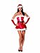 Dreamgirl Women's Santa's Sweetie Costume