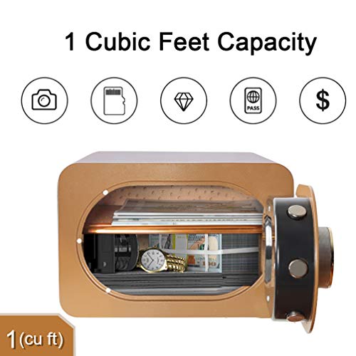 Lovndi Security Safe Box 1.0 Cubic Feet, Digital Safe Electronic Home Safe with Keypad, 15.7 x 11.8 x 10.6 inches, Gold