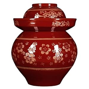 Sfqevhrz Tradycyjny Słoik Fermentacyjny Ceramiczny