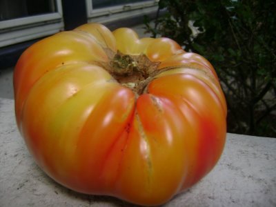 Mr Stripey Heirloom Tomato Seeds image