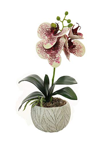 Home Decor 4U - Orquídea artificial en maceta, 32 cm, Phalaenopsis, Planta Artificial, Orquídea, Flor Artificial, Centro de mesa, Orquídea Falsa, Plantas Falsas, Flores Artificiales