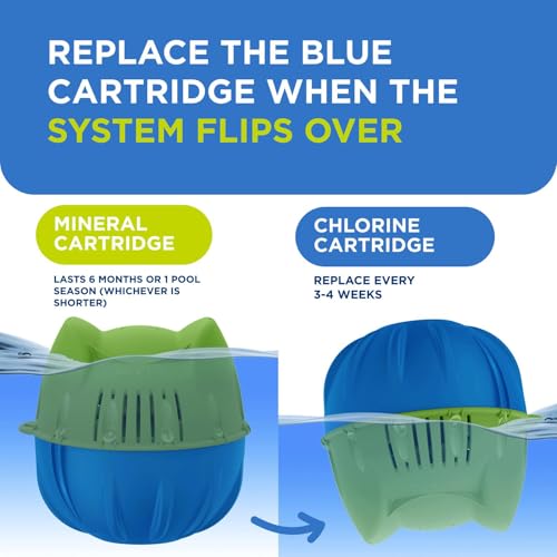 Image of Flippin' FROG Replacement Chlorine Cartridges, 1 Pack