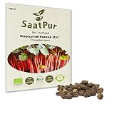 SaatPur Bio Sprossen Samen Kapuzinerkresse Rot - Wasabi Kresse - 100% Bio Keimsprossen - Microgreens mit hoher Keimkraft - Sprossensamen für Sprossenglas & Keimschale