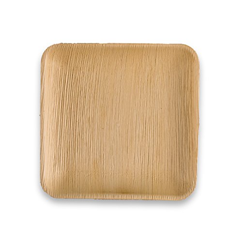 Disposable Areca Palm Dessert Quarter Plate 6" Square(Pack of 25s). 100% Natural, Eco-Friendly, Biodegradable, Naturally Compostable.Best Suited for Birthday party,Wedding,Camping, Catering