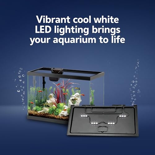 Aqueon Aquarium Starter Kit with Smart Clean Filtration and LED Lighting, Freshwater and Saltwater Fish, 20-Gallon - Image 4