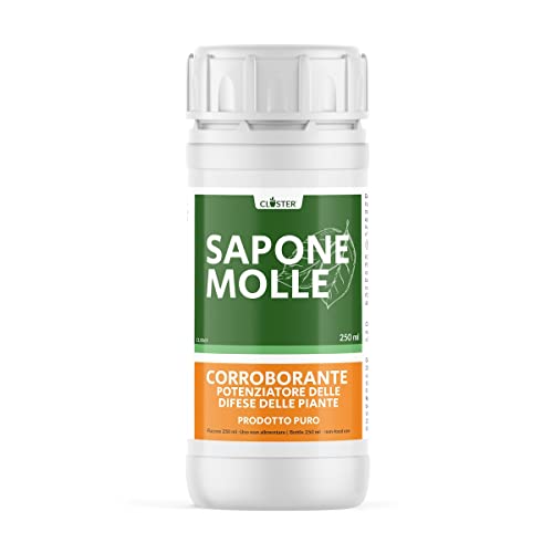 Closter Jabón Potasico Puro (250ML) - Insecticida Biodegradable - Defensa Natural De Las Plantas Contra Insectos y Parásitos - Anti Pulgones Acaros Cochinilla Chinches en Tu Huerto Jardín