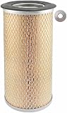 Baldwin Filters Air Filter,5-5/16 x 11-1/2 in. PA2513-1 Each