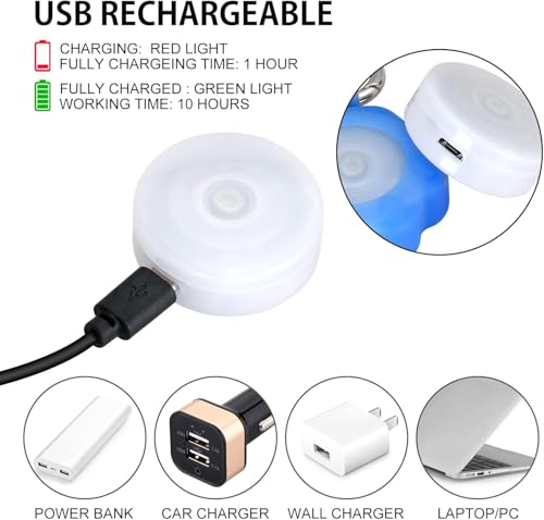 Novkin 2 x Hundelicht mit wiederaufladbarem USB-Halsbandlicht, IP67, wasserdicht, LED-Hunde-Sicherheitslichter für nächtliche Spaziergänge(Regenbogen und Regenbogen)