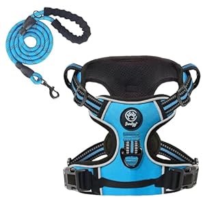SNOUTZZ® Dog Harness and Leash Set, No Pull Pet Harness with 2 Leash Clips, Reflective & Adjustable Soft Padded Vest Harness, No-Choke with Easy Control Handle for Training or Walking (Blue, Small)