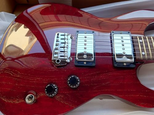 【Fernandes】エレキギター APG series 限定品 41DPGVzJMpL.jpg