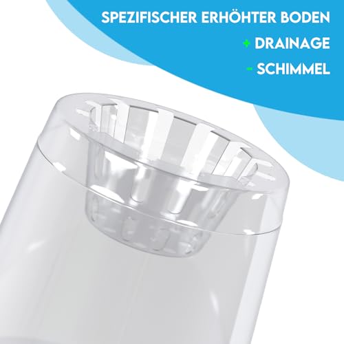 ZOMA - Set mit 3 transparenten Orchideen-Töpfen mit erhöhtem Boden, Plastik-Orchideentöpfe mit Belüftungslöchern, perfekt für die Pflege von Orchideen, hochwertiger transparenter Topf - Ø 9 cm