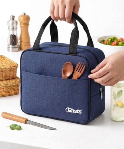 Insulated Travel Lunch/Tiffin/Storage Bag for Office, College & School Picnic & Lunch Bags (Blue)