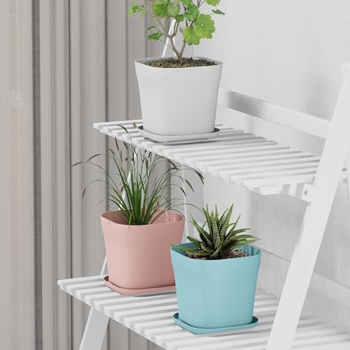 StyleX Store Pack of 3 Square Plastic Flower Pot with Tray | Modern Indoor Outdoor Planter for Home Balcony Garden Office | Durable Lightweight Planter Pot | 6 Inch, Multi