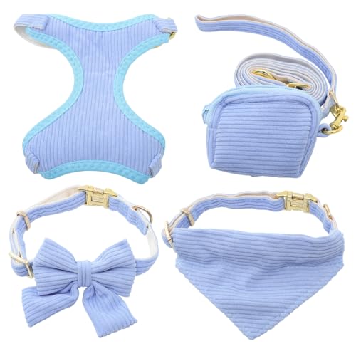 Laisse et collier de sécurité pour chien confortable bleu