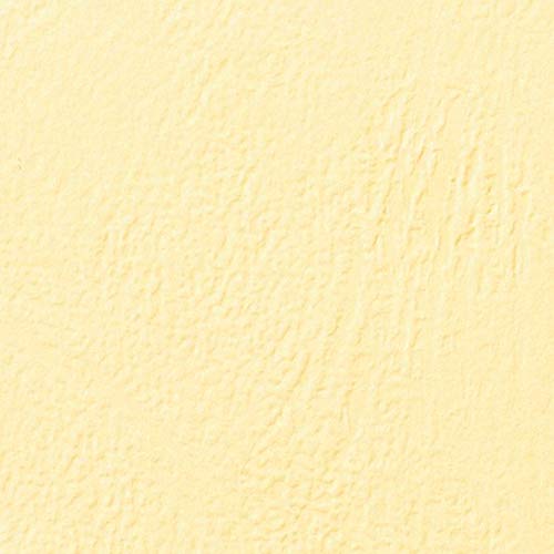 Preisvergleich Produktbild LeatherGrain Umschlagmaterial, A4, 100 Stück, beige