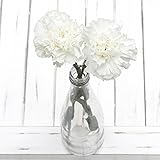 Greenchoice - 125 White Carnations | 23' long stem | No Vase