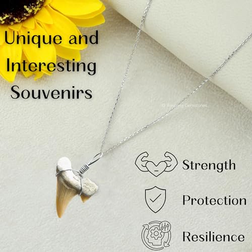 Handmade Shark Tooth Necklace2