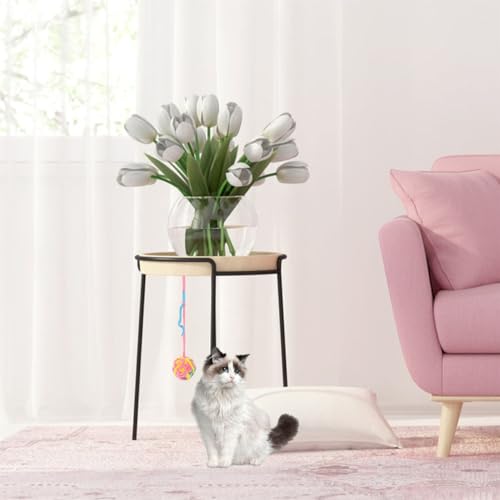 SUPVOX 6 Peças Bolas Para Gatos Arranhadores Para Gatos Brinquedos Para Gatos Bolas Para Arranhar Pa