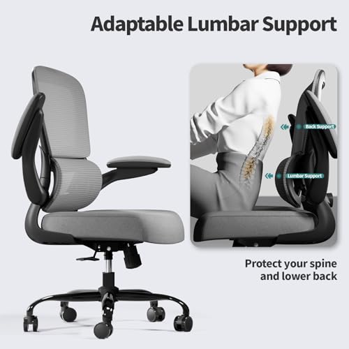 Image of TRALT Office Chair - Ergonomic Desk Chair with Adjustable Lumbar Support, Mesh Computer Chair, Executive Chair for Home Office Comfortable Lumbar Support (1, Fog Gray)