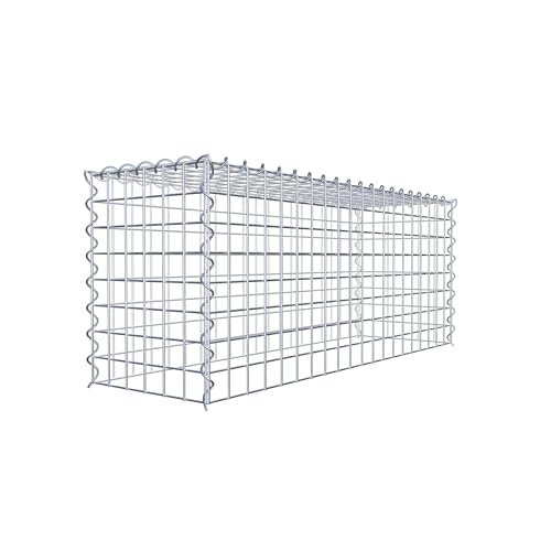 GABIONA Cesta para piedra (rectangular, malla de 5 x 5 cm, profundidad de 30 cm, cesta de cultivo tipo 3, cierre de espiral, galvanizada (100 x 40 x 30 cm)