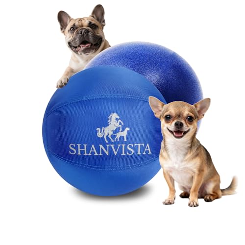 SHANVISTA Herding Ball for Dogs 10 Inch with Jingle - Starter Herding Ball for Puppies & Small Breed Dogs - Durable Interactive Toy for Indoor, Outdoor & Apartment Play (Blue)