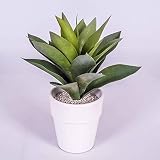 Se recomienda el tratamiento opcional con aerosol de protección UV para una mayor longevidad de los colores